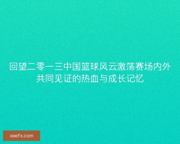 回望二零一三中国篮球风云激荡赛场内外共同见证的热血与成长记忆